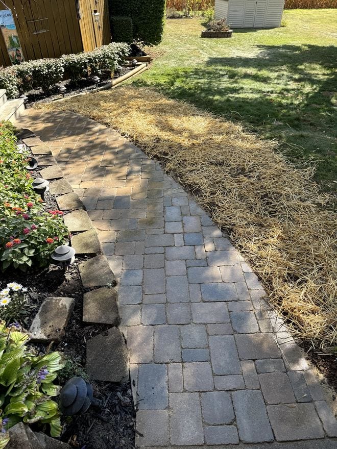 Paver walkway running through a landscape bed